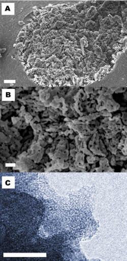 Upsalite Climbing Chalk - Electron Microscopy