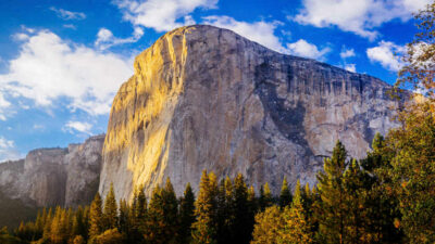 Who Has Climbed The Dawn Wall